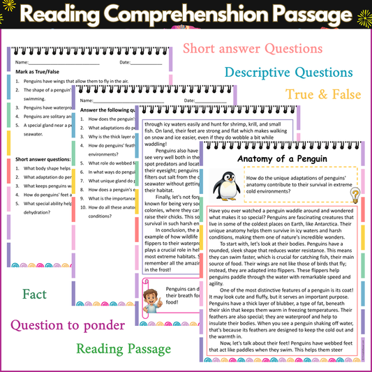 Anatomy of a Penguin | Reading Comprehension Passage and Questions