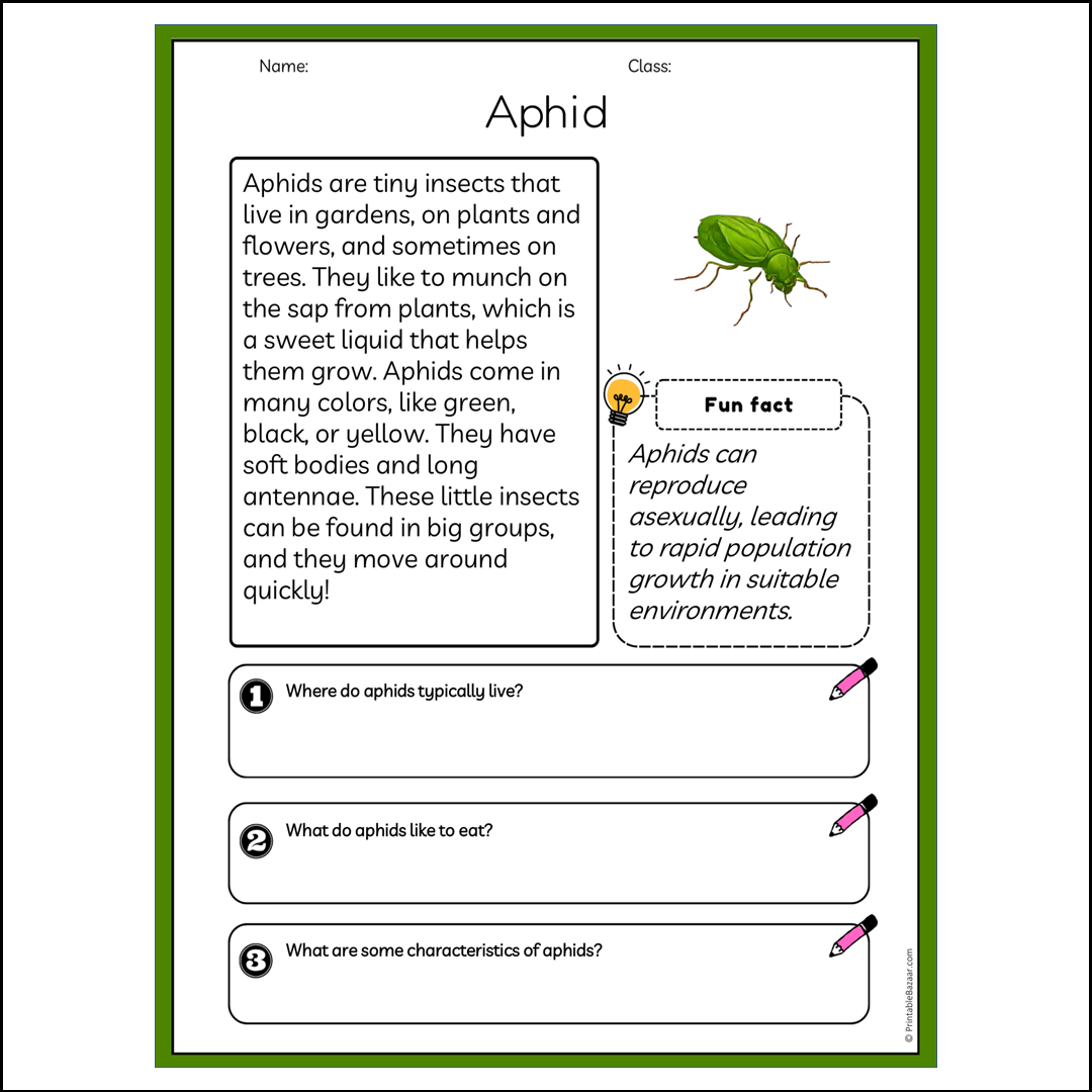 Aphid | Reading Passage Comprehension Questions Writing Facts Worksheet