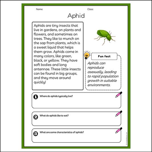 Aphid | Reading Passage Comprehension Questions Writing Facts Worksheet