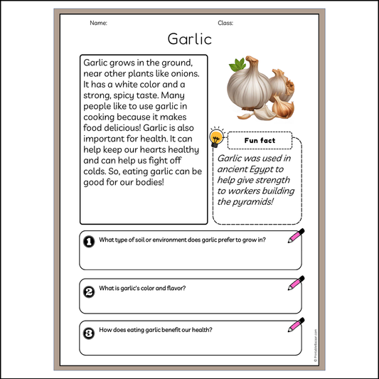 Garlic | Reading Passage Comprehension Questions Writing Facts Worksheet