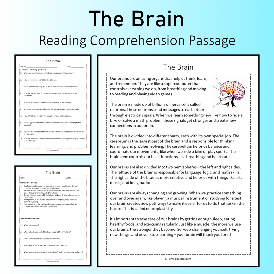 The Brain | Reading Comprehension Passage Printable Worksheet