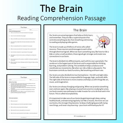 The Brain | Reading Comprehension Passage Printable Worksheet