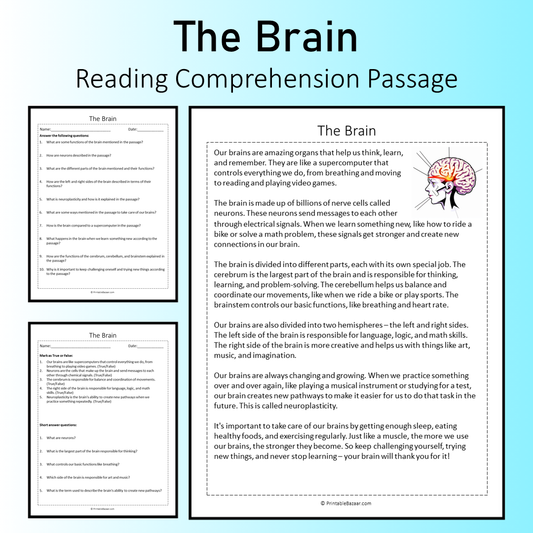 The Brain | Reading Comprehension Passage Printable Worksheet