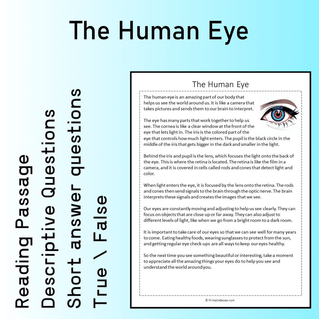 The Human Eye | Reading Comprehension Passage Printable Worksheet