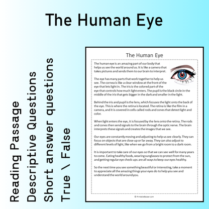 The Human Eye | Reading Comprehension Passage Printable Worksheet