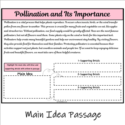 Pollination and Its Importance | Main Idea and Supporting Details Reading Passage and Questions