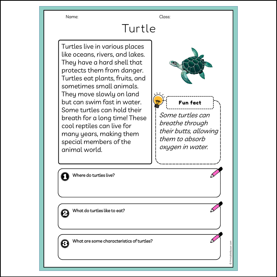 Turtle | Reading Passage Comprehension Questions Writing Facts Worksheet