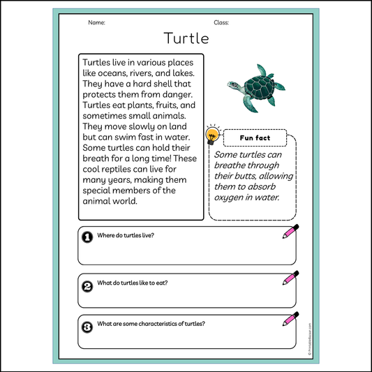 Turtle | Reading Passage Comprehension Questions Writing Facts Worksheet