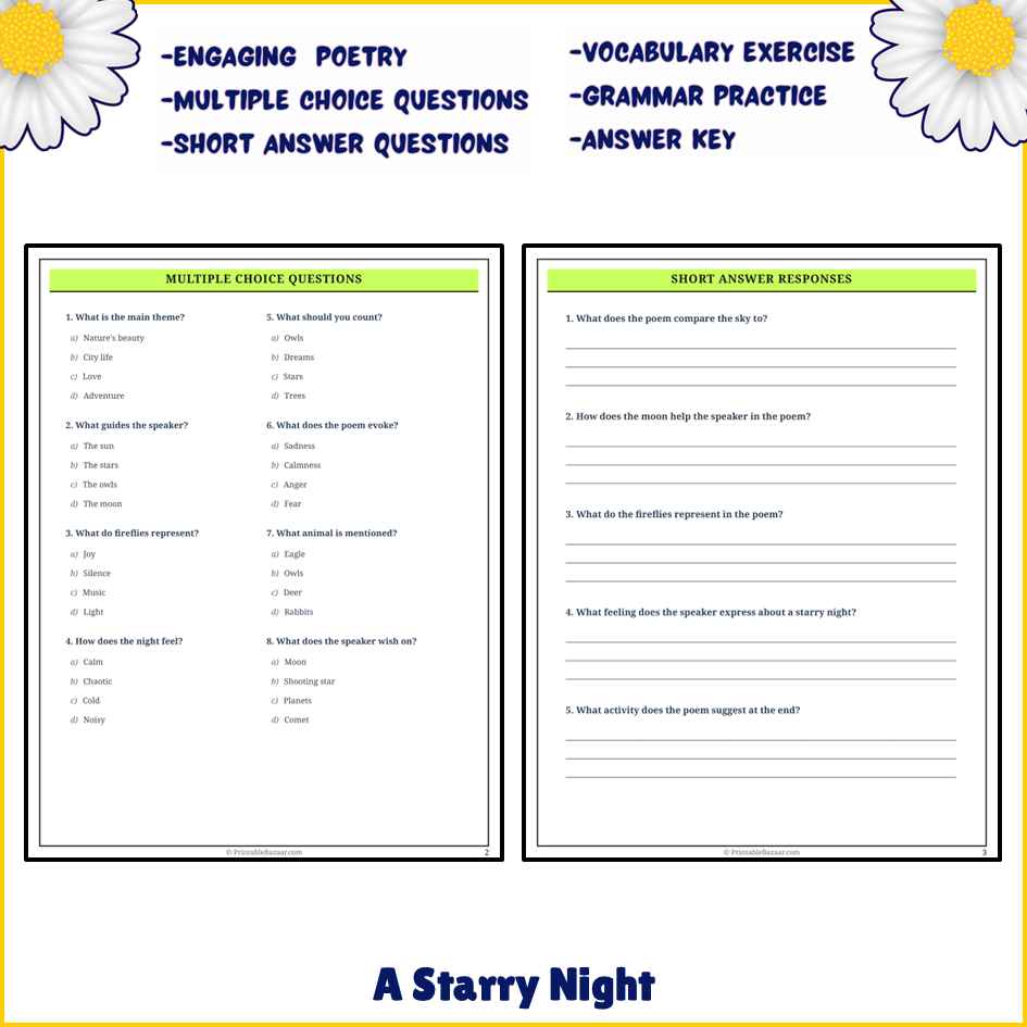 A Starry Night | Poem Grammar Worksheet Printable Activity