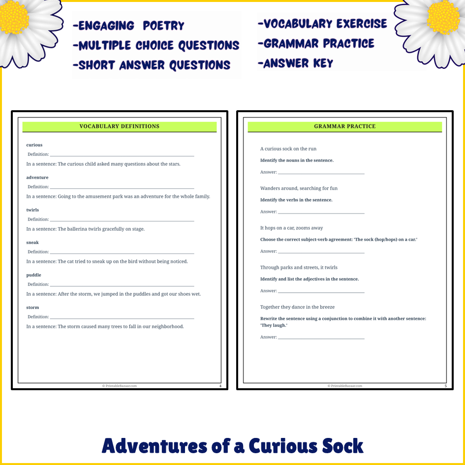 Adventures of a Curious Sock | Poem Grammar Worksheet Printable Activity