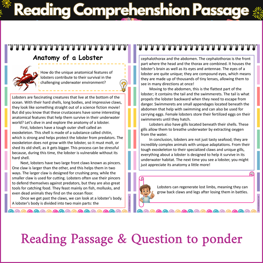 Anatomy of a Lobster | Reading Comprehension Passage and Questions