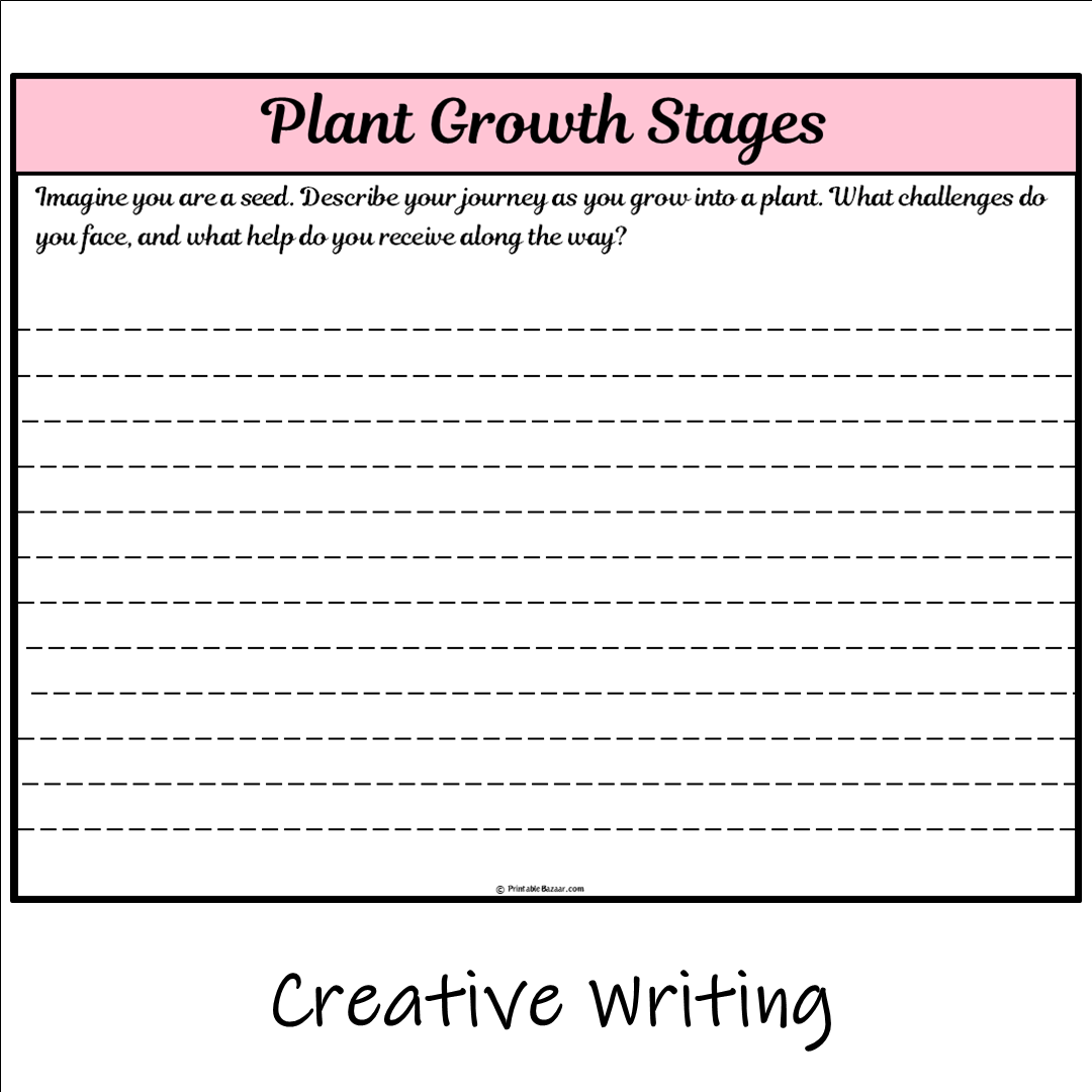 Plant Growth Stages | Main Idea and Supporting Details Reading Passage and Questions