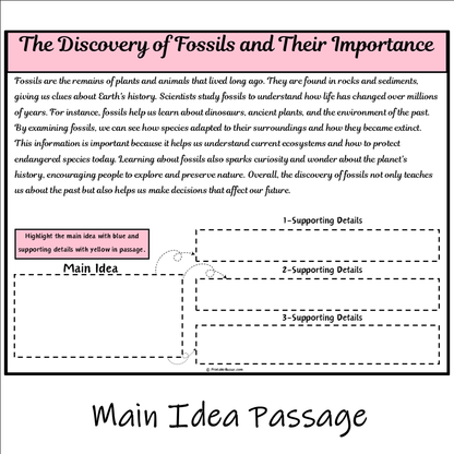 The Discovery of Fossils and Their Importance | Main Idea and Supporting Details Reading Passage and Questions