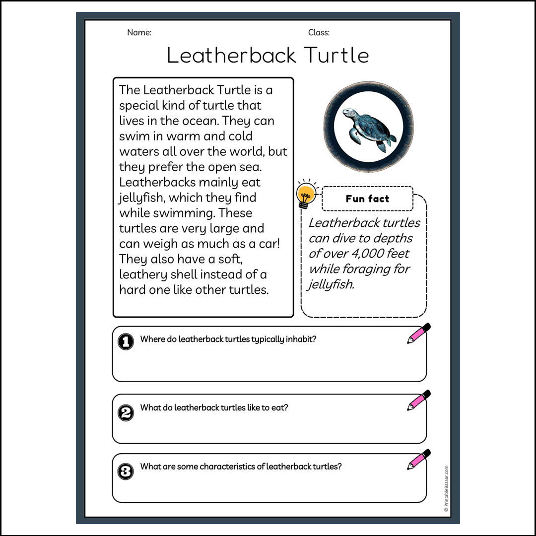 Leatherback Turtle | Reading Passage Comprehension Questions Writing Facts Worksheet