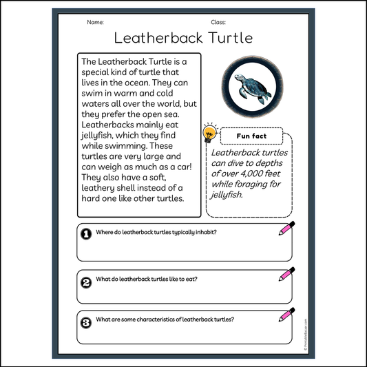 Leatherback Turtle | Reading Passage Comprehension Questions Writing Facts Worksheet