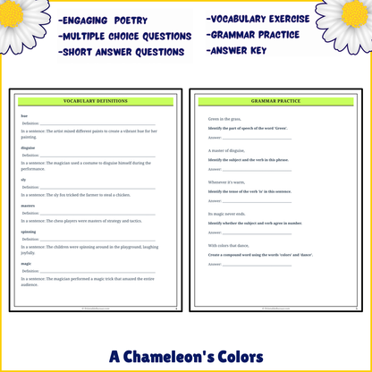 A Chameleon's Colors | Poem Grammar Worksheet Printable Activity