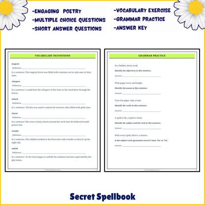 Secret Spellbook | Poem Grammar Worksheet Printable Activity