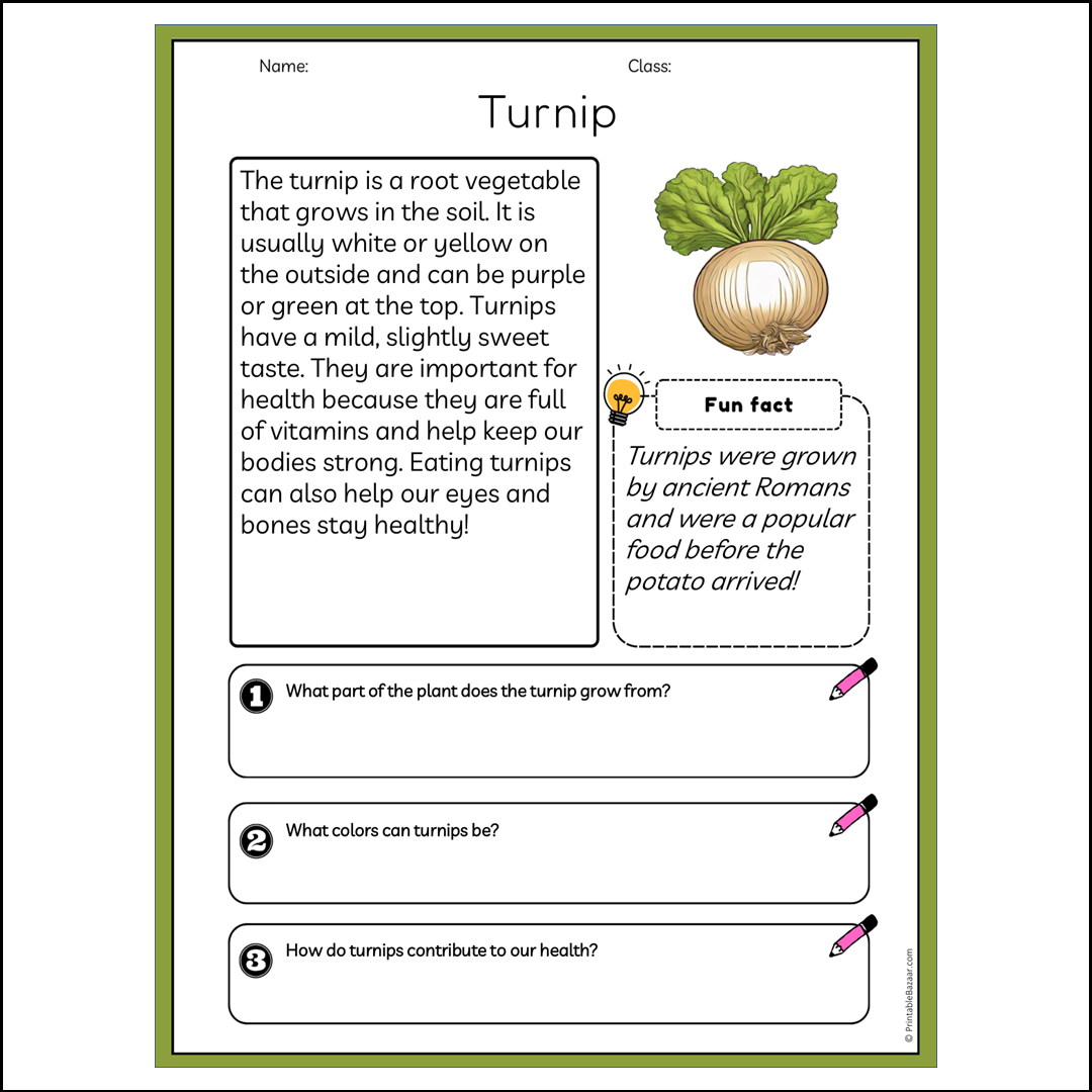 Turnip | Reading Passage Comprehension Questions Writing Facts Worksheet