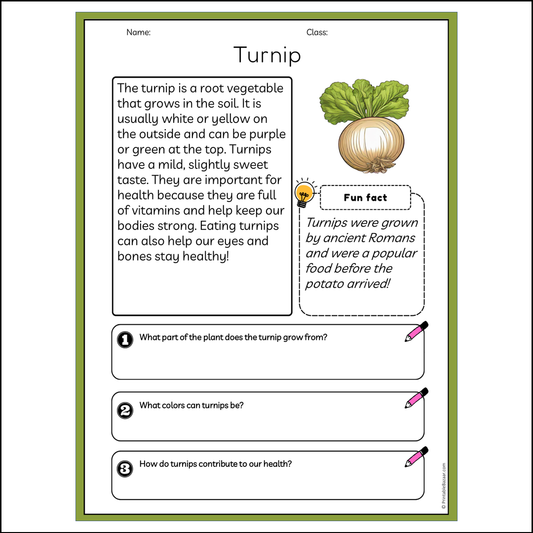 Turnip | Reading Passage Comprehension Questions Writing Facts Worksheet