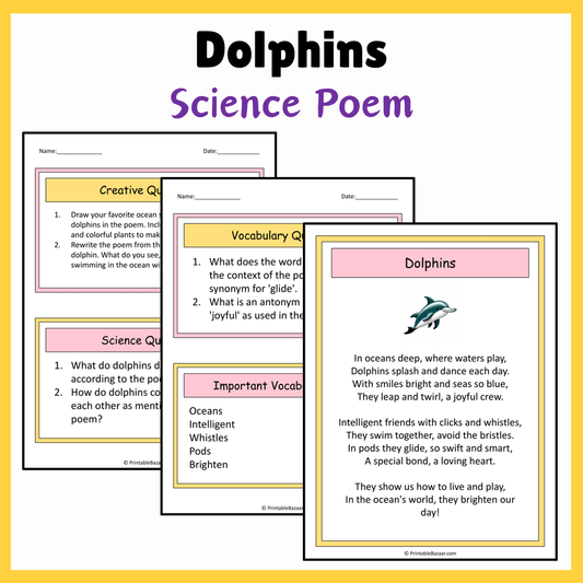 Dolphins | Science Poem Reading Comprehension Activity