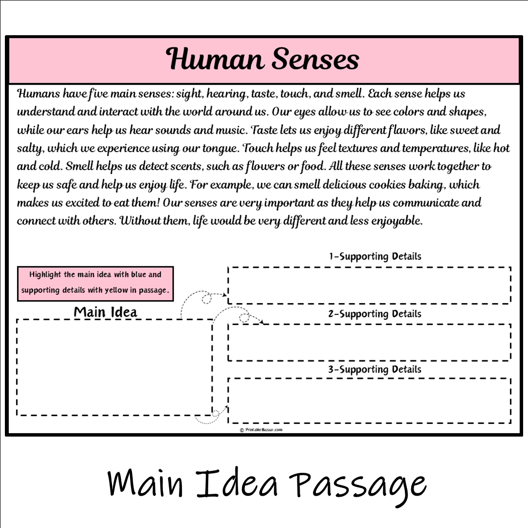 Human Senses | Main Idea and Supporting Details Reading Passage and Questions