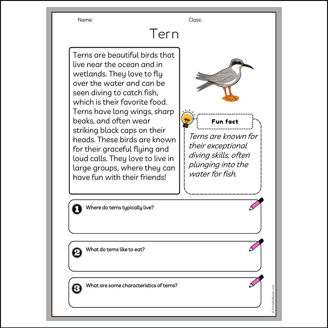 Tern | Reading Passage Comprehension Questions Writing Facts Worksheet