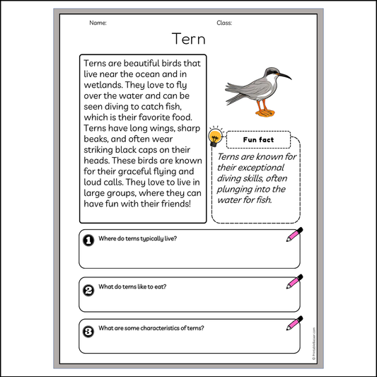 Tern | Reading Passage Comprehension Questions Writing Facts Worksheet