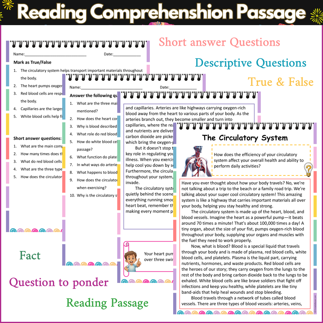 The Circulatory System | Reading Comprehension Passage and Questions