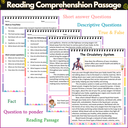 The Circulatory System | Reading Comprehension Passage and Questions