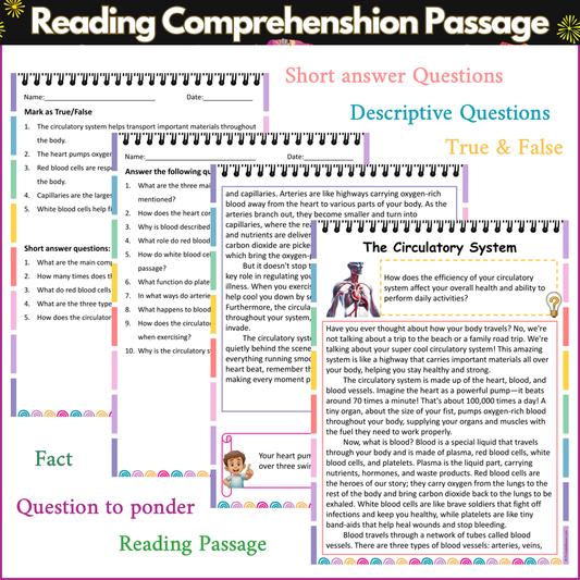 The Circulatory System | Reading Comprehension Passage and Questions