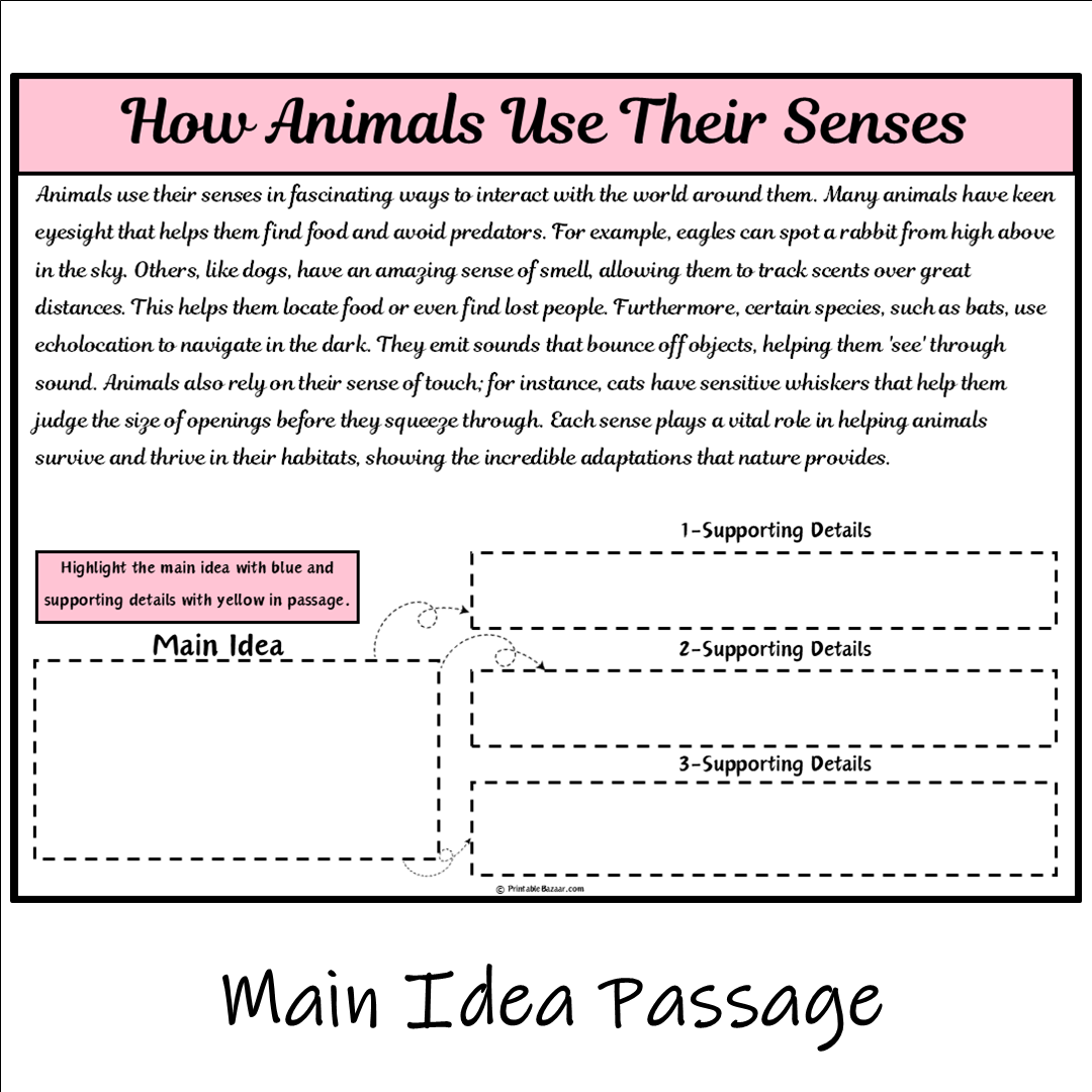 How Animals Use Their Senses | Main Idea and Supporting Details Reading Passage and Questions