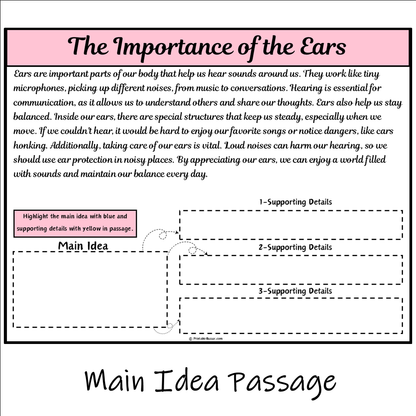 The Importance of the Ears | Main Idea and Supporting Details Reading Passage and Questions