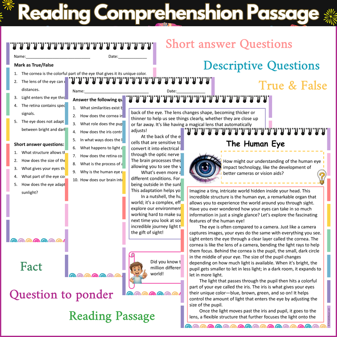 The Human Eye | Reading Comprehension Passage and Questions