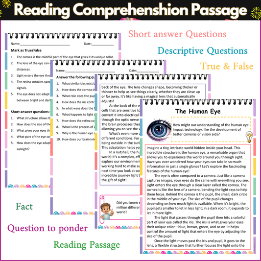 The Human Eye | Reading Comprehension Passage and Questions