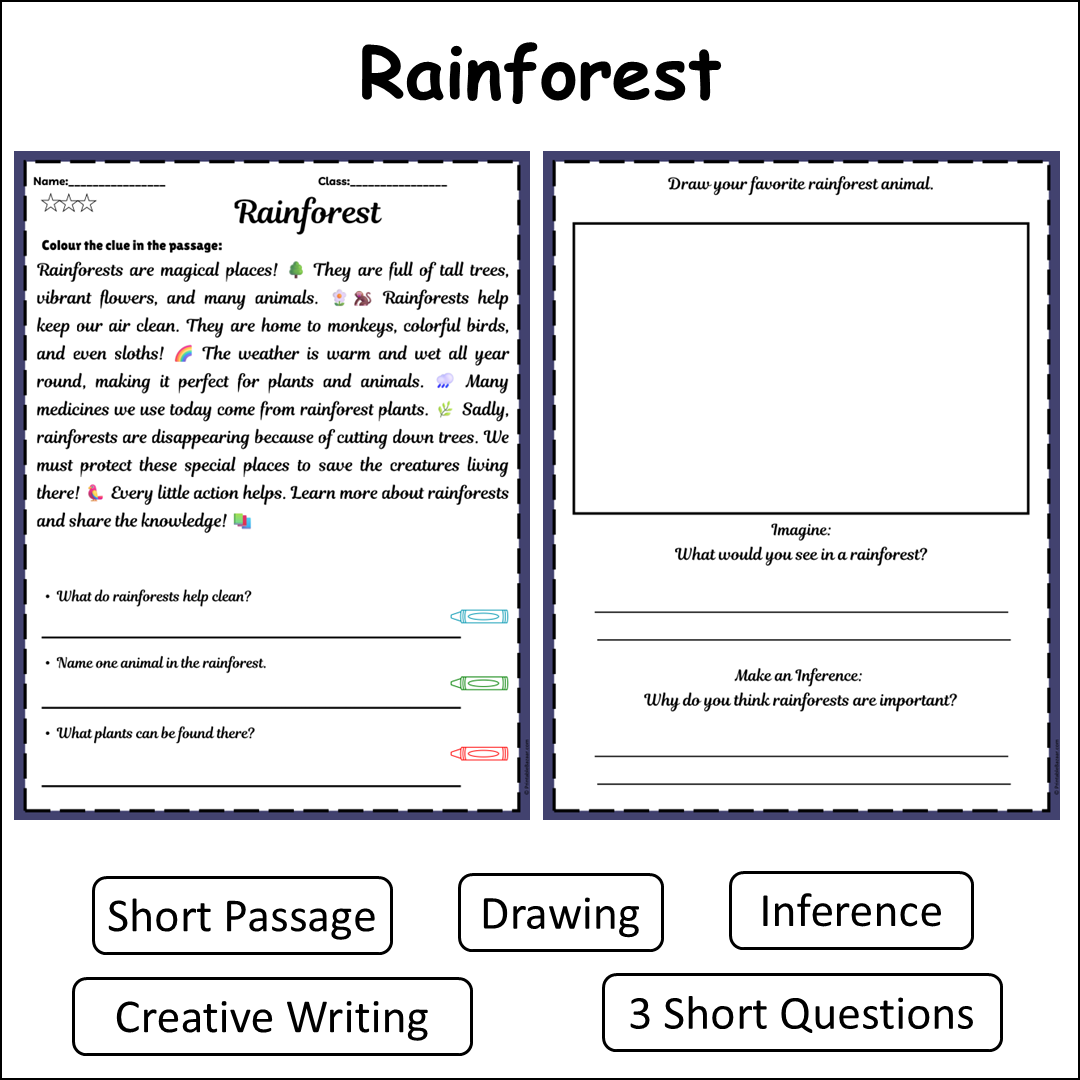 Rainforest | Short Reading Comprehension Creative Worksheet