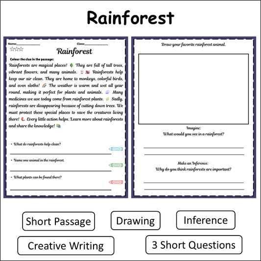 Rainforest | Short Reading Comprehension Creative Worksheet