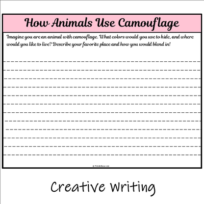 How Animals Use Camouflage | Main Idea and Supporting Details Reading Passage and Questions