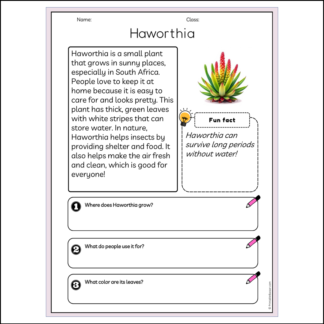 Haworthia | Reading Passage Comprehension Questions Writing Facts Worksheet