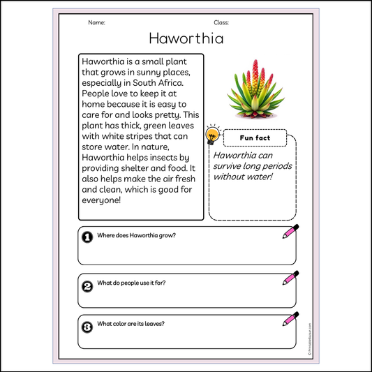 Haworthia | Reading Passage Comprehension Questions Writing Facts Worksheet