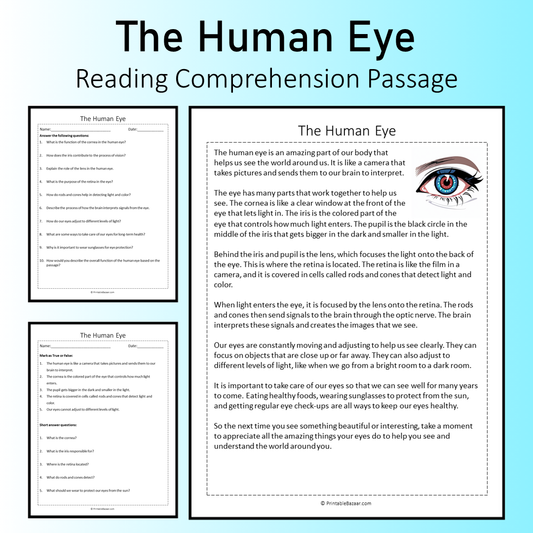 The Human Eye | Reading Comprehension Passage Printable Worksheet