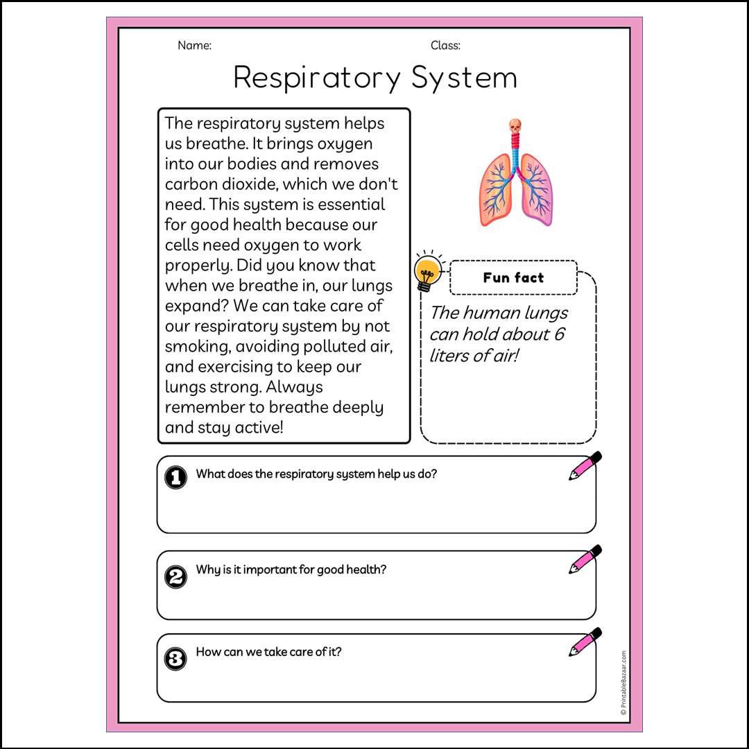 Respiratory System | Reading Passage Comprehension Questions Writing Facts Worksheet