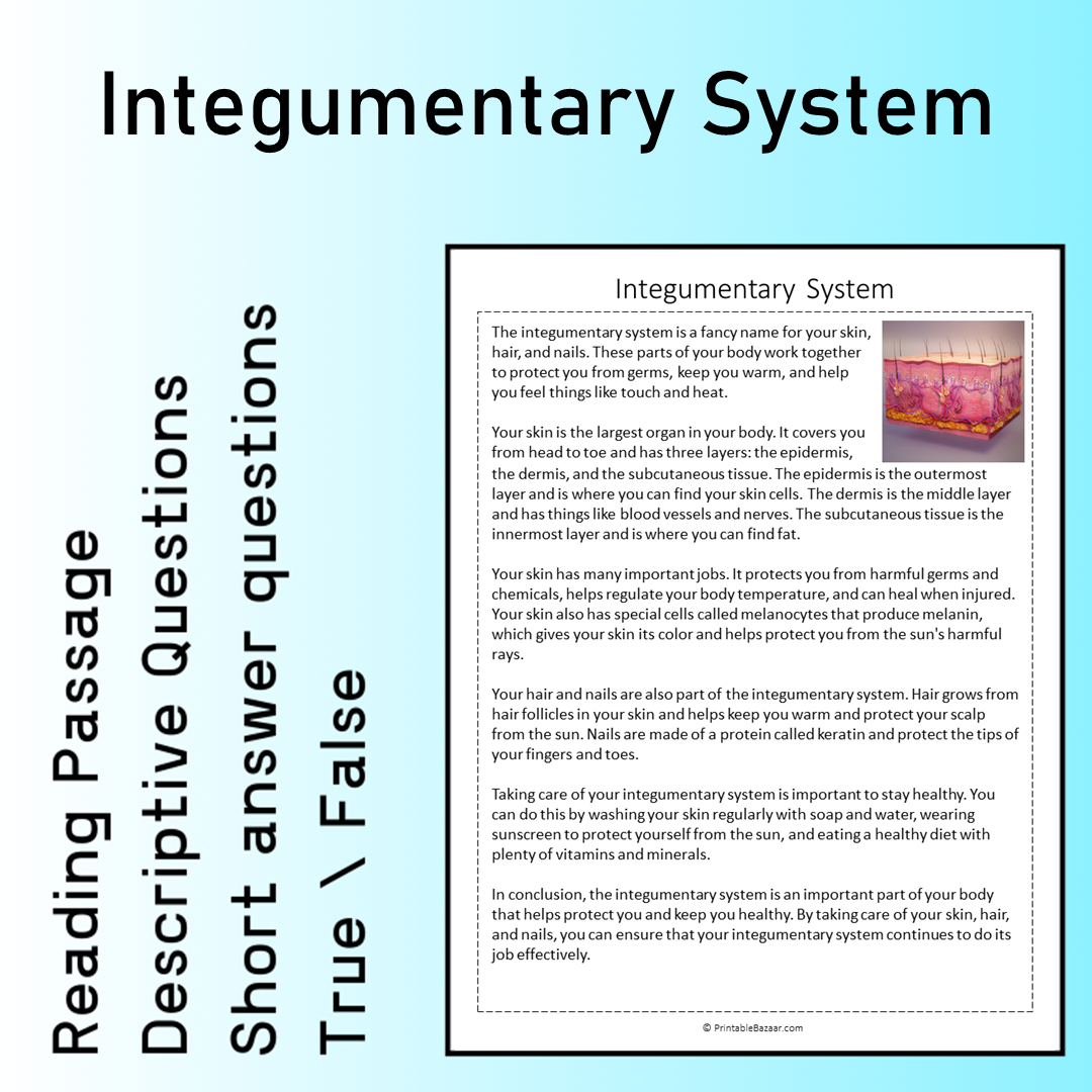Integumentary System | Reading Comprehension Passage Printable Worksheet