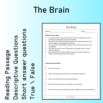 The Brain | Reading Comprehension Passage Printable Worksheet