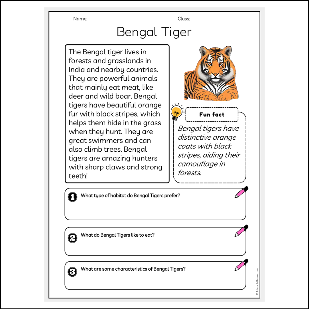 Bengal Tiger | Reading Passage Comprehension Questions Writing Facts Worksheet