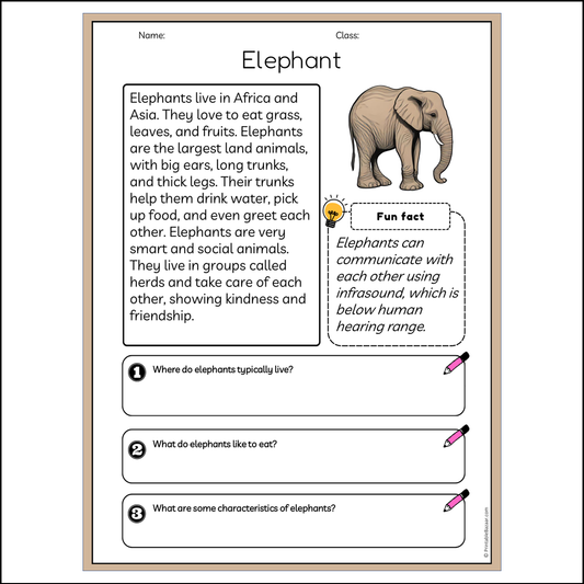 Elephant | Reading Passage Comprehension Questions Writing Facts Worksheet