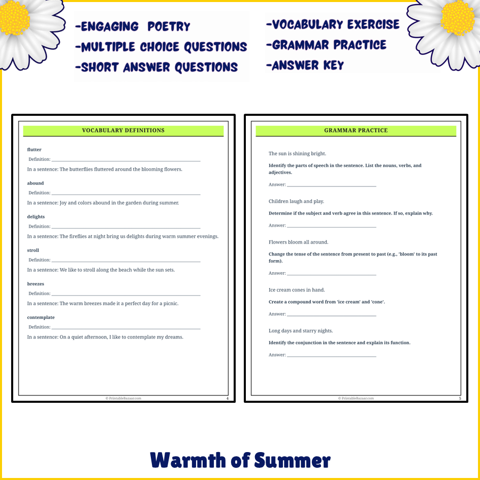 Warmth of Summer | Poem Grammar Worksheet Printable Activity