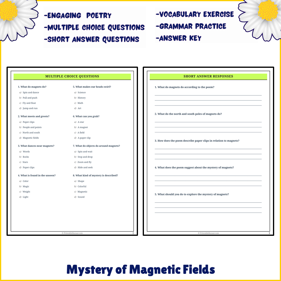 Mystery of Magnetic Fields | Poem Grammar Worksheet Printable Activity