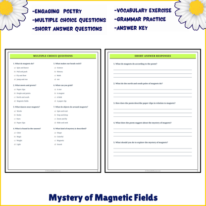 Mystery of Magnetic Fields | Poem Grammar Worksheet Printable Activity