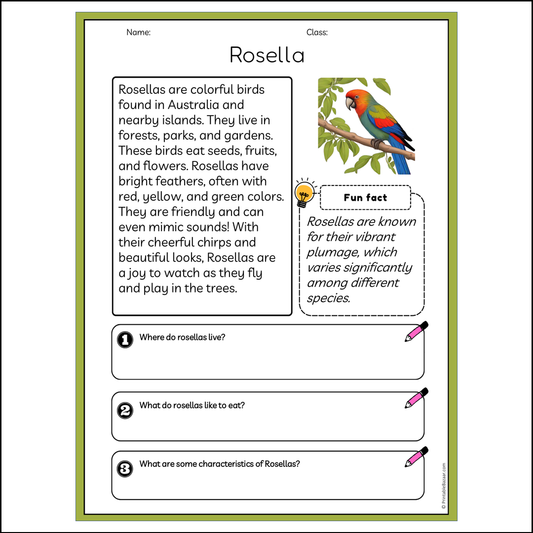 Rosella | Reading Passage Comprehension Questions Writing Facts Worksheet