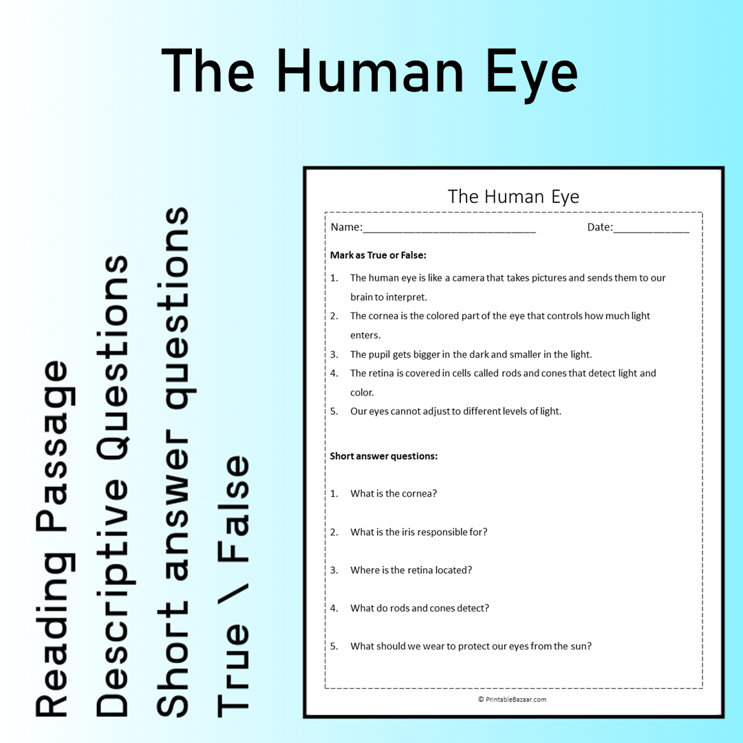 The Human Eye | Reading Comprehension Passage Printable Worksheet